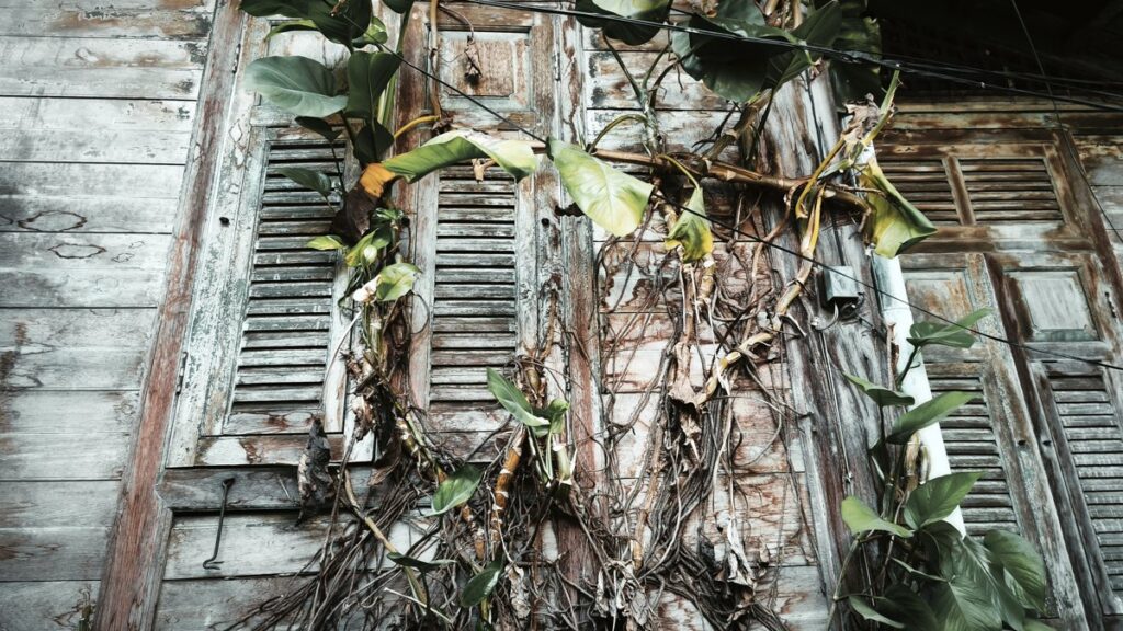 Kudi Chin : le quartier de Bangkok qui n’élève jamais la voix img 20260106 151659 (1)