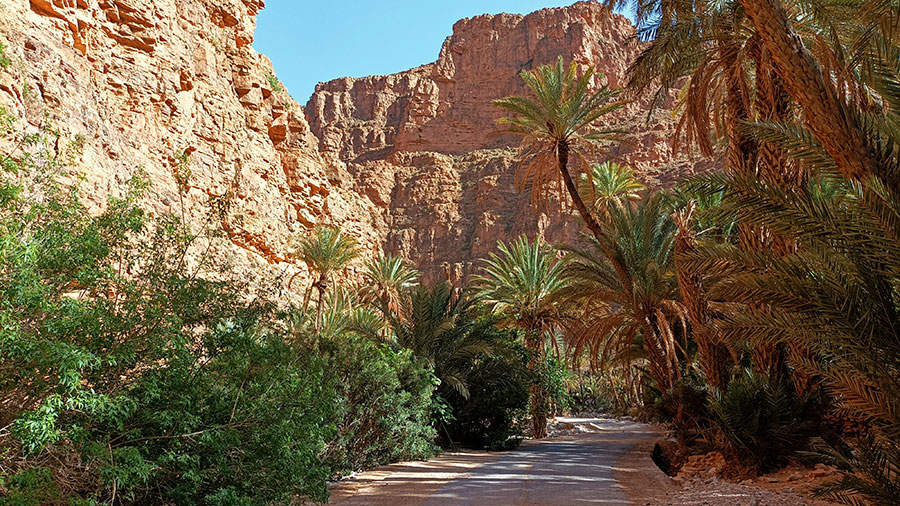 Le Maroc, ou comment fermer sa gueule en beauté - partie 2 voyage moto maroc (14)