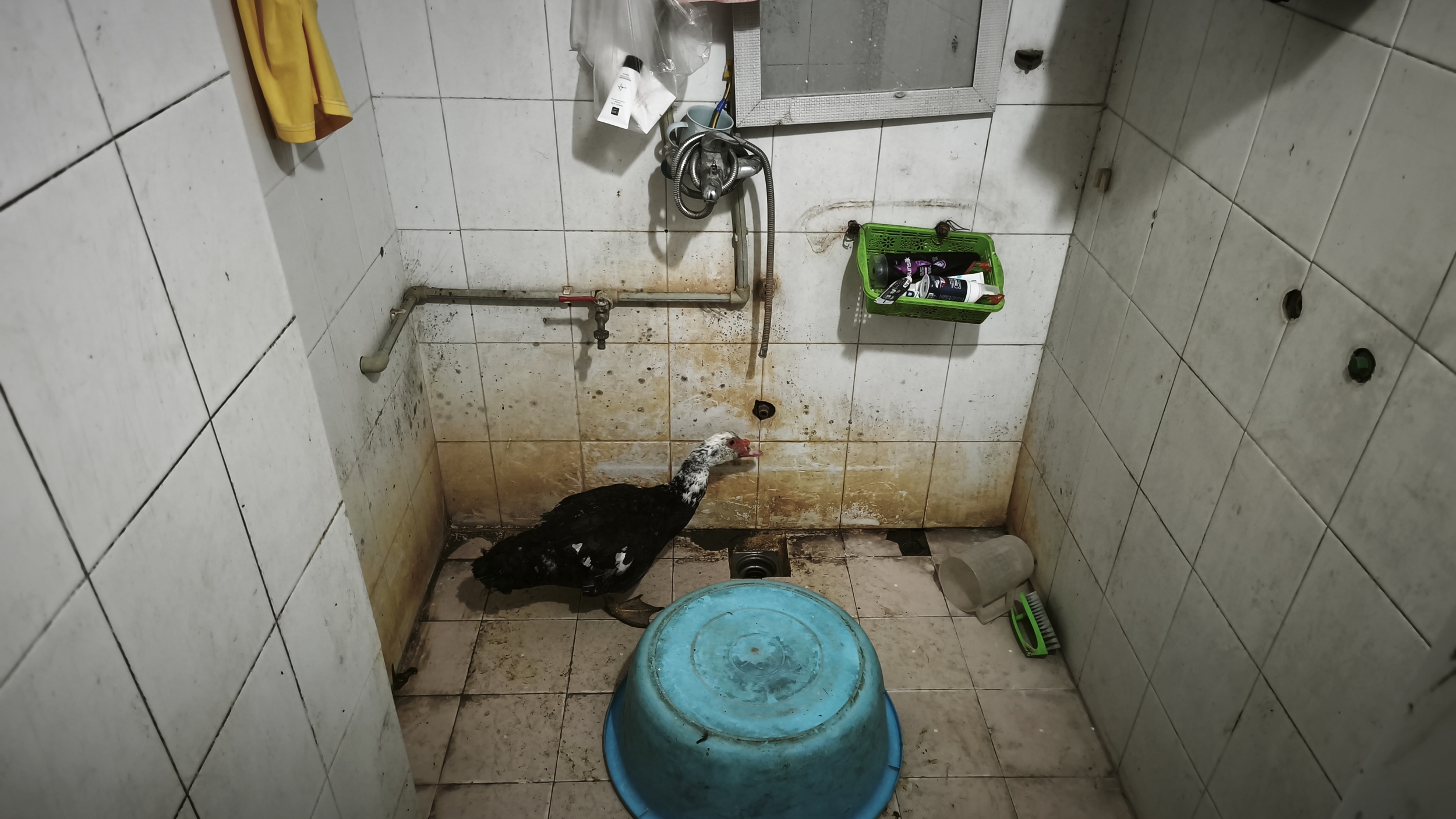 Bia hoi : assis bas, vivants haut. bia hoi hanoi (7)