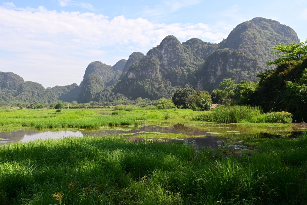 tam coc garden vietnam (3)
