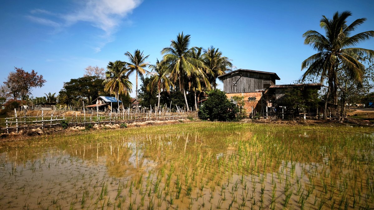 savannakhet laos (6)