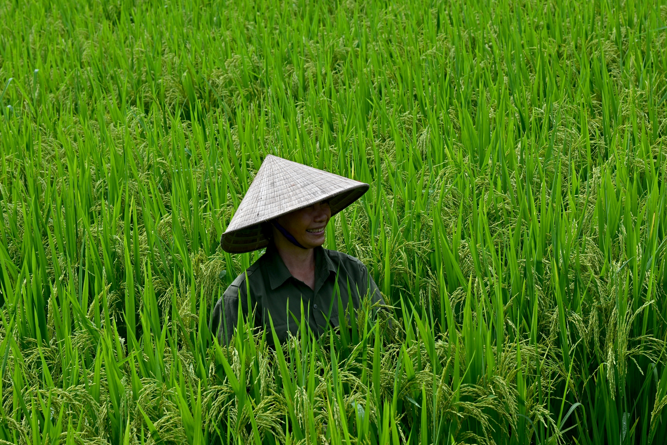 Tam coc Garden : la réhabilitation du Nha Quê tam coc garden vietnam (4)