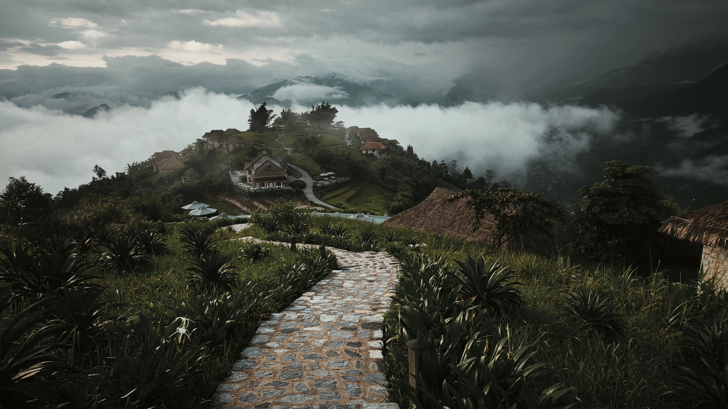 topas ecolodge vietnam (9)