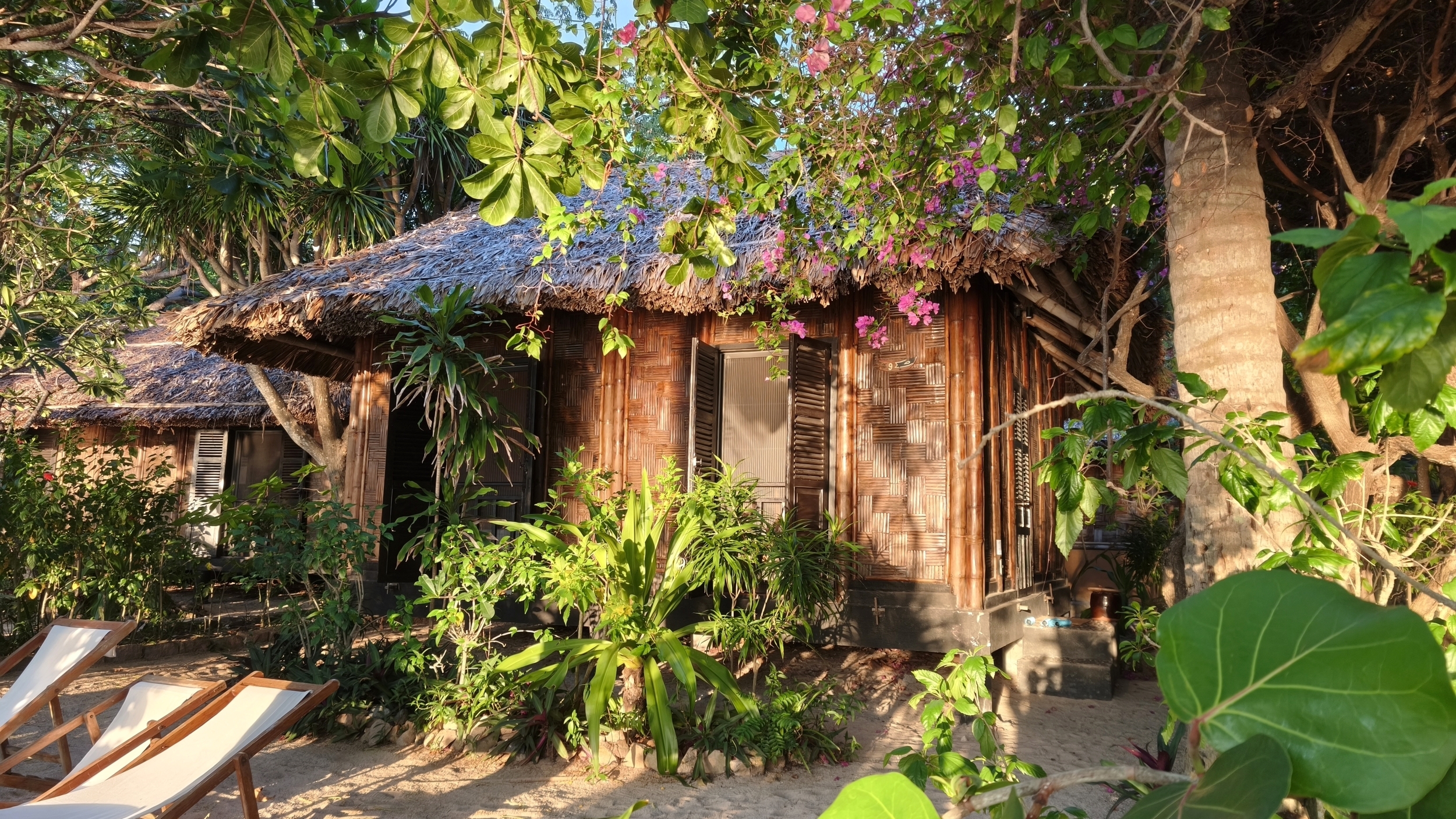 L’île de la Baleine, mémoire longue whale island vietnam (11)