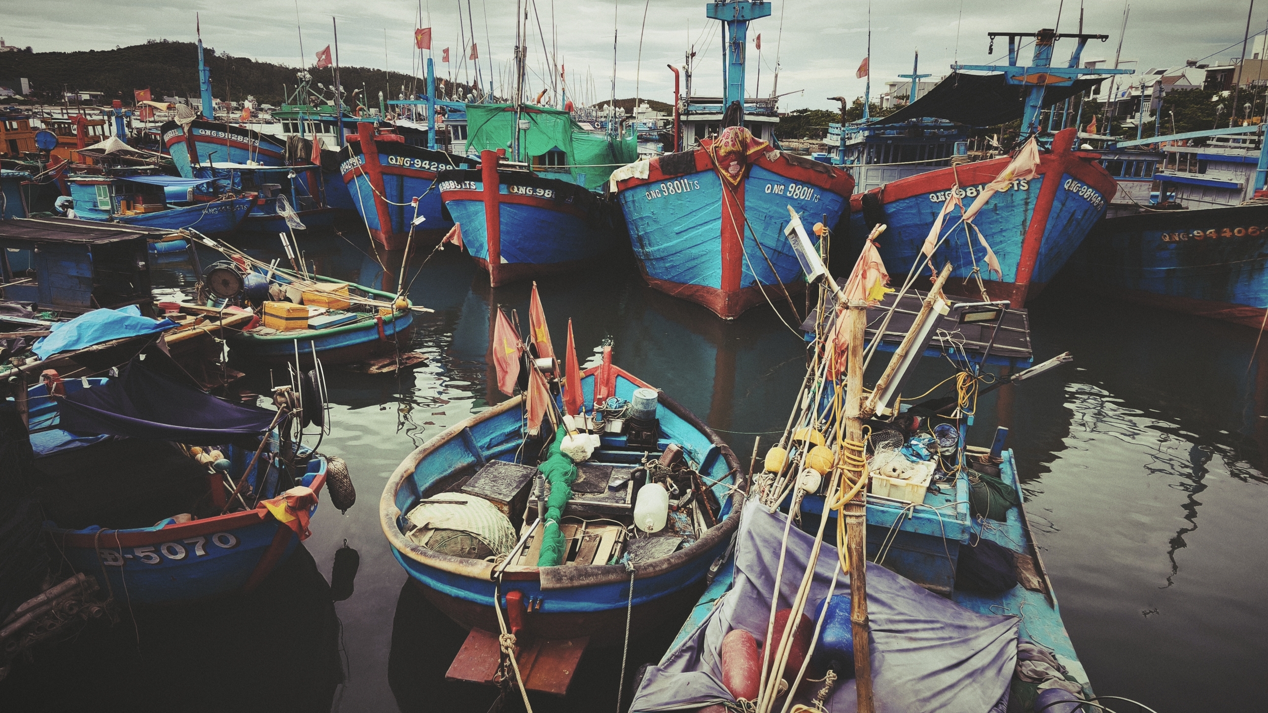 ly son island vietnam (5)