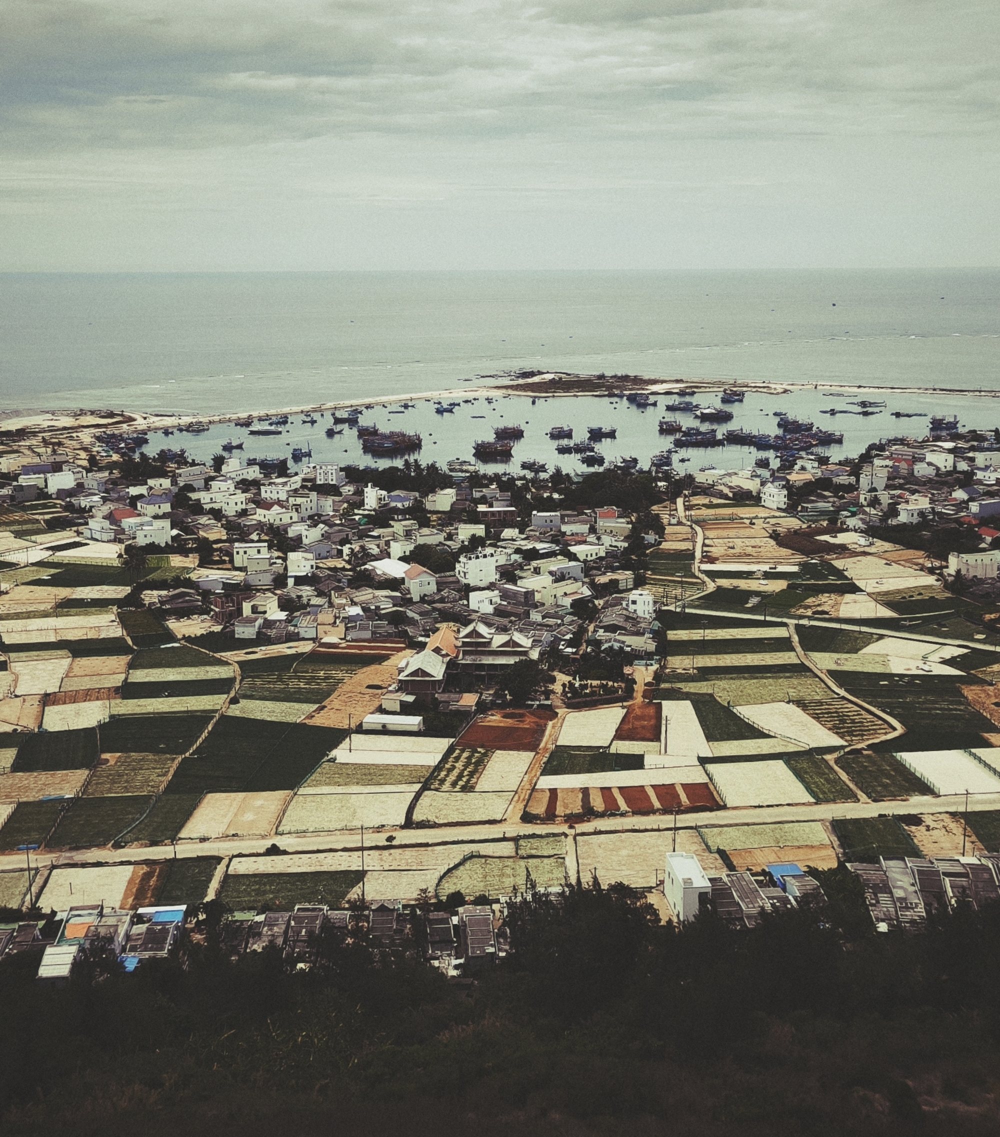 ly son island vietnam (8)