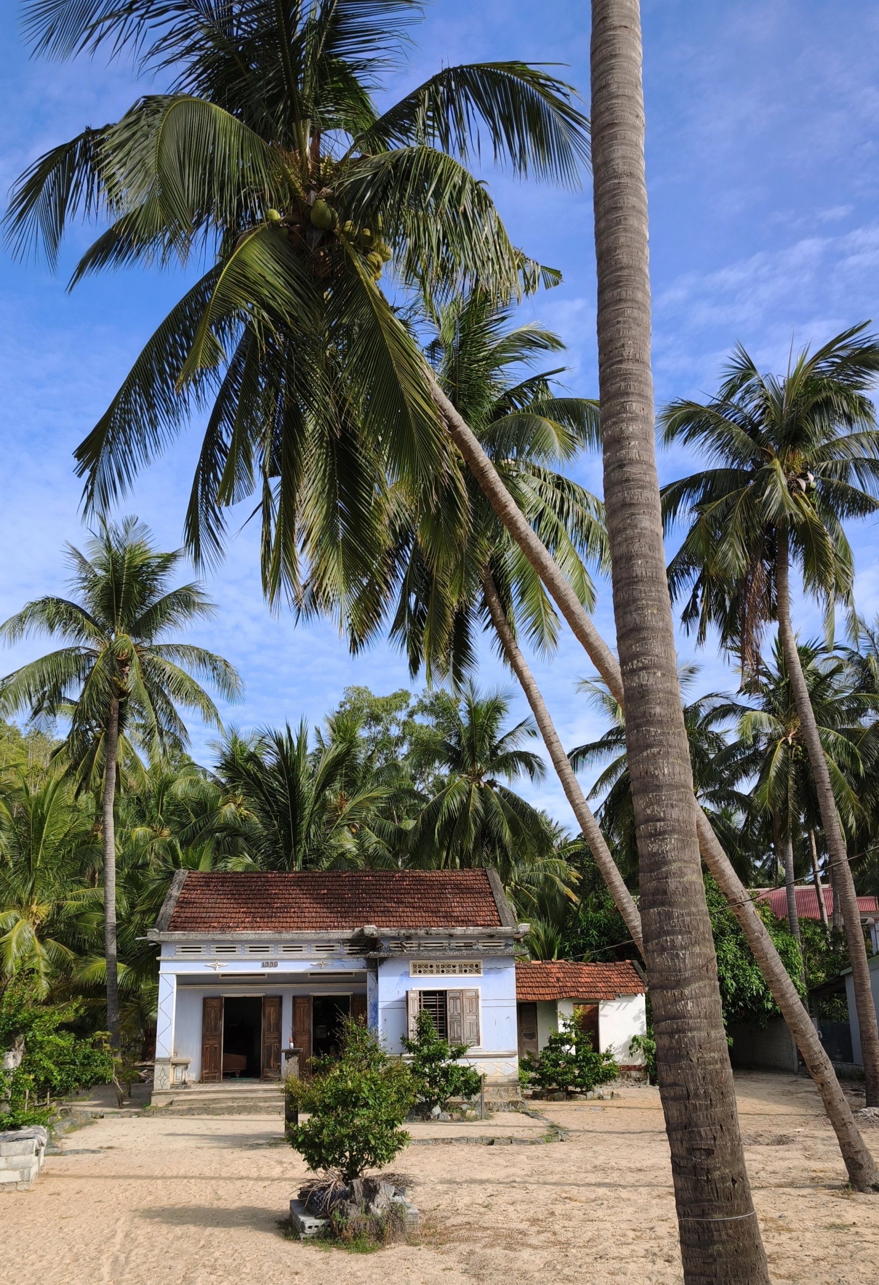 Tuy Hoa - Quy Nhon : la côte qui mord. Encore un peu img 20260709 082919