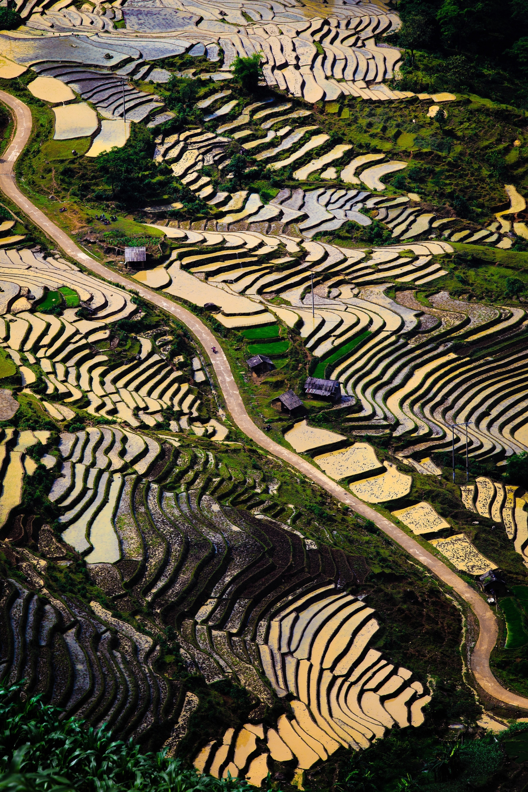 Sapa : le fils adoptif qui a mal tourné sapa vietnam (12)