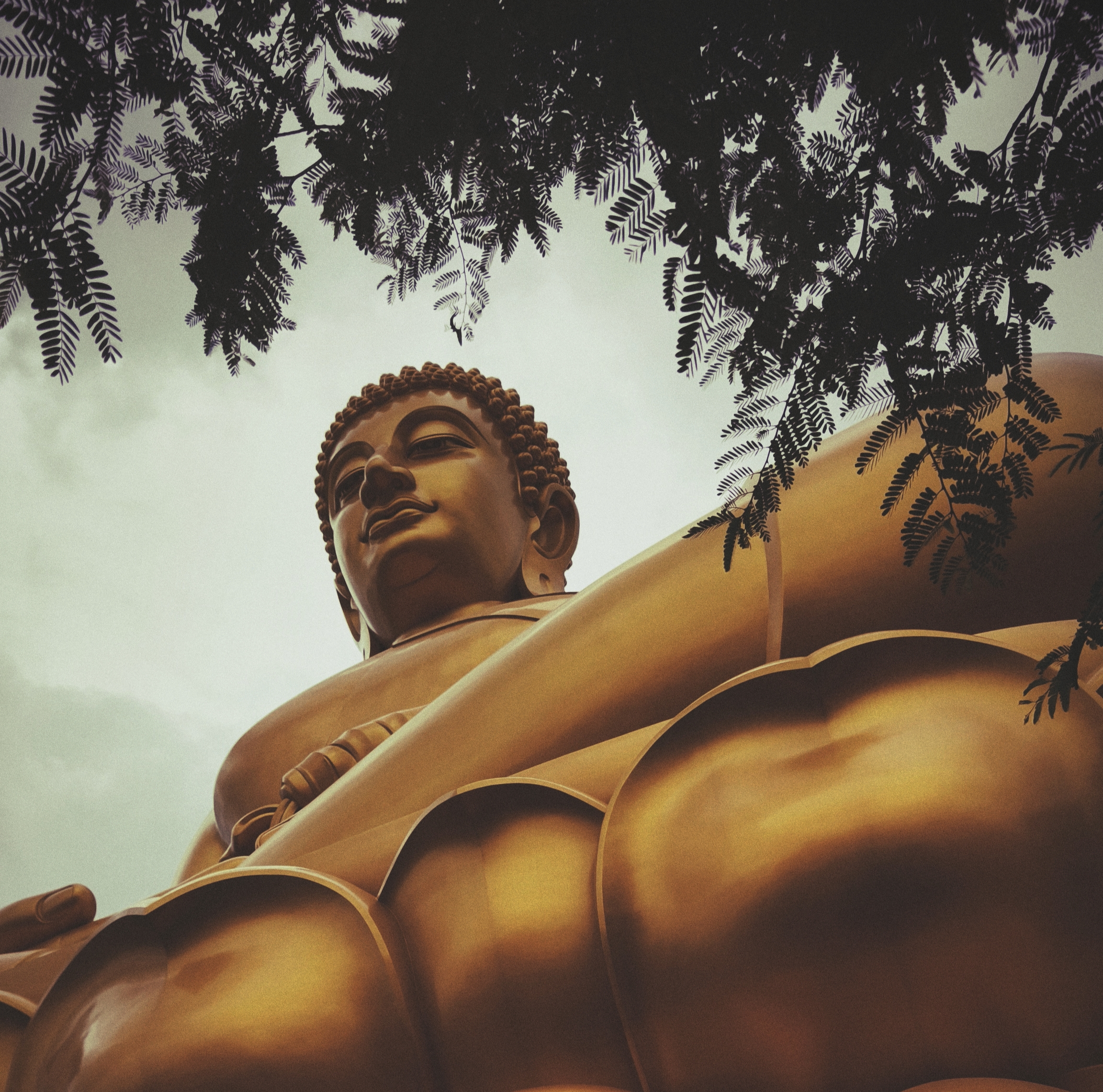 talat phlu bangkok (16)